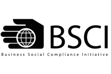 BSCI Logo